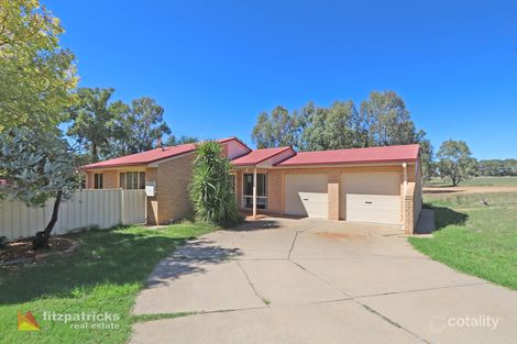 31 Schipp St, Forest Hill, NSW 2651