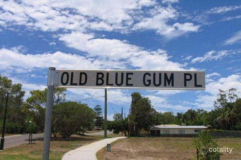 Property photo of 1 Old Blue Gum Place Tewantin QLD 4565