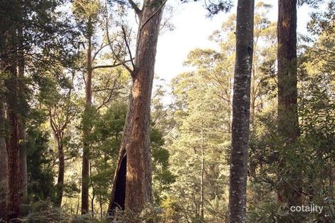 Property photo of 62 Clark Road Glendevie TAS 7109