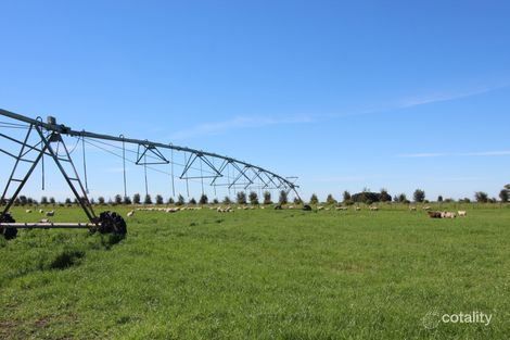 529 Morambro Rd, Lochaber, SA 5271