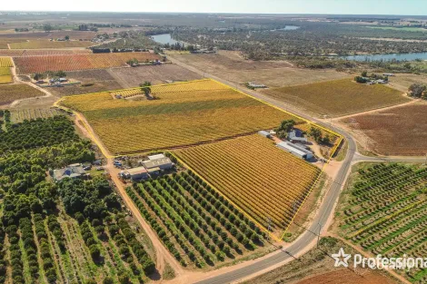 431 Woomera Ave, Red Cliffs, VIC 3496