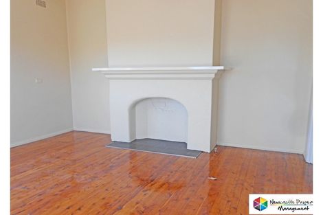 Property photo of 55 Fern Valley Road Cardiff NSW 2285