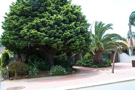 21 Whimbrel St, Stirling, WA 6021