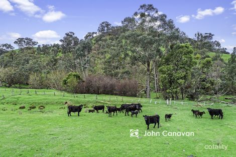 456 Dry Creek Rd, Bonnie Doon, VIC 3720