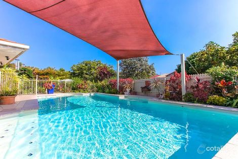 Property photo of 19 Kalmia Place Mountain Creek QLD 4557
