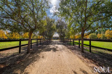 20 Mancini Dr, Lake Wyangan, NSW 2680