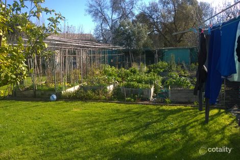 Property photo of 53 Belmont Road Ivanhoe VIC 3079