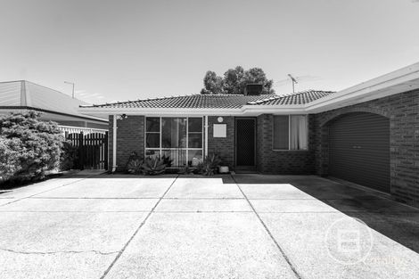 Property photo of 375B Albert Street Balcatta WA 6021
