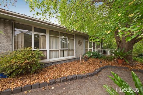 Property photo of 42 Tulip Grove Cheltenham VIC 3192