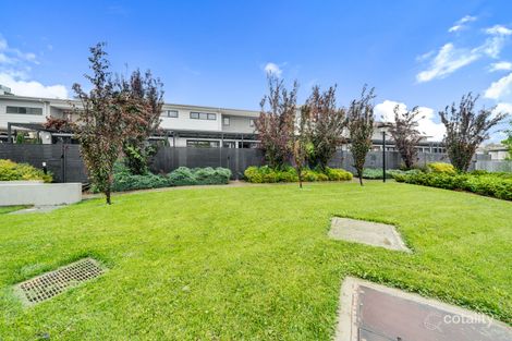 77/54 Bowman St, Macquarie, ACT 2614