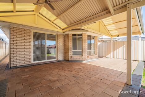 Property photo of 21 Scott Avenue Clovelly Park SA 5042