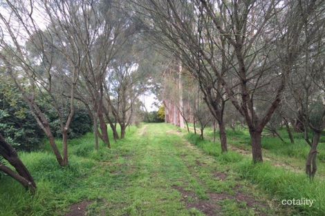 Property photo of 33 Blackwood Road Millicent SA 5280