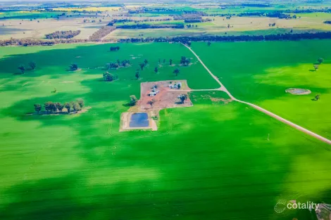 207 Jepsons Rd, Bectric, NSW 2665