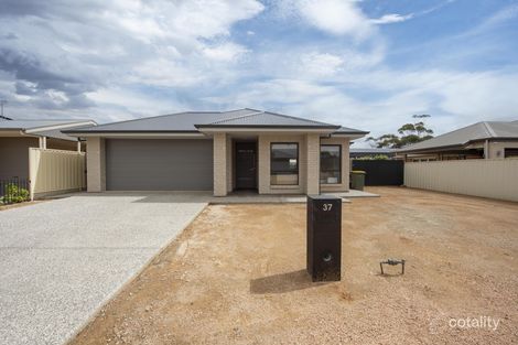 37 Peterson Cct, Risdon Park, SA 5540