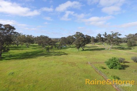 31r Strathgled Rd, Toongi, NSW 2830