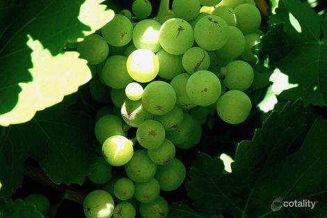 Property photo of 52 Raglan Street Pingelly WA 6308