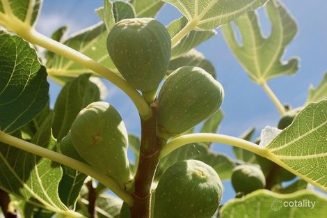 Property photo of 52 Raglan Street Pingelly WA 6308