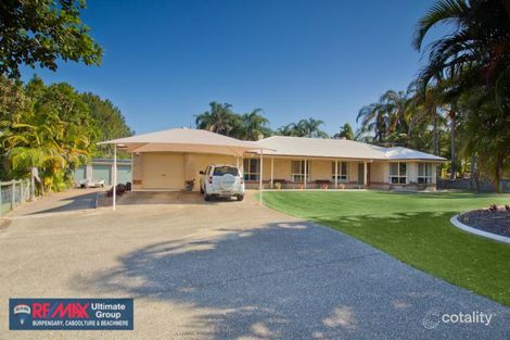 Property photo of 20 Cocos Drive Ningi QLD 4511