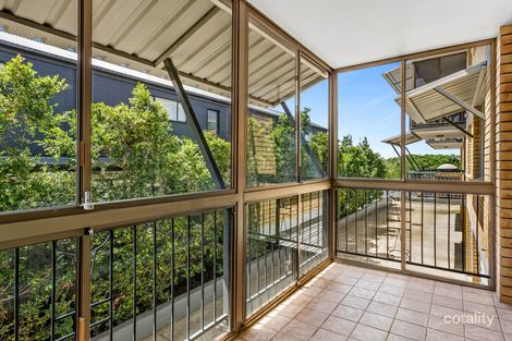 Property photo of 3/19 Riddell Street Bulimba QLD 4171
