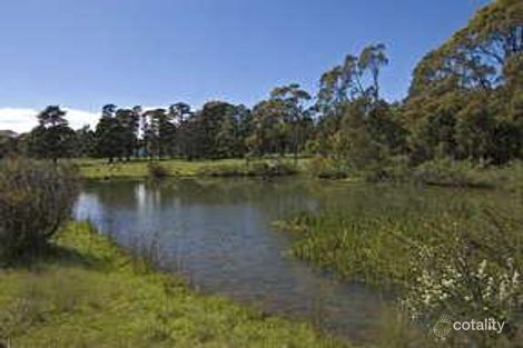 Property photo of 352 Turpentine Road Tomerong NSW 2540