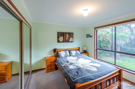 Property photo of 17 Tarnkun Street Alexandra Headland QLD 4572