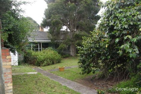 Property photo of 599 Timboon-Nullawarre Road Brucknell VIC 3268