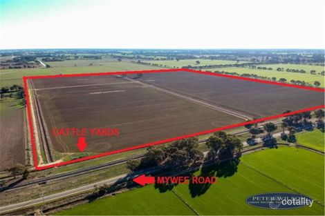 Property photo of 131 Mywee Road Strathmerton VIC 3641