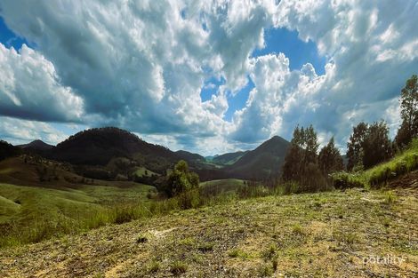 4250 Nowendoc Rd, Number One, NSW 2424