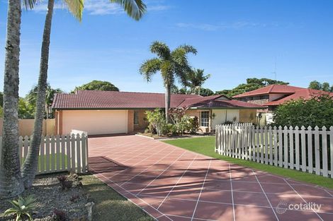 Property photo of 35 Colrene Drive Nerang QLD 4211