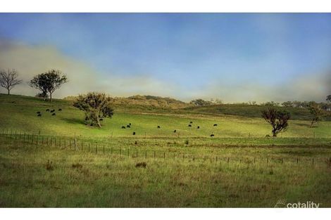 465 Erudgere Lane, Piambong, NSW 2850