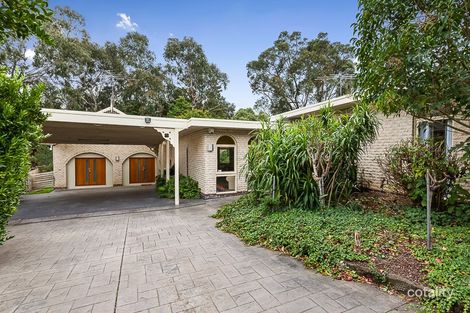 Property photo of 16 Terrigal Close Ringwood North VIC 3134