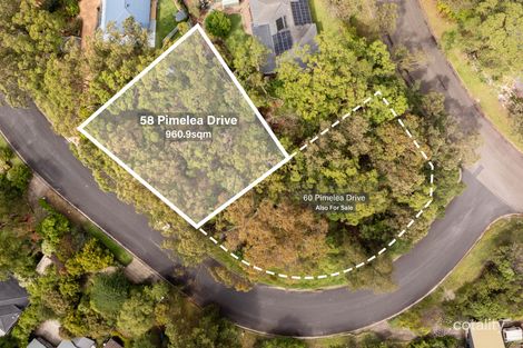 58 Pimelea Dr, Woodford, NSW 2778