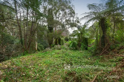 Property photo of 21-25 McAllister Road Monbulk VIC 3793