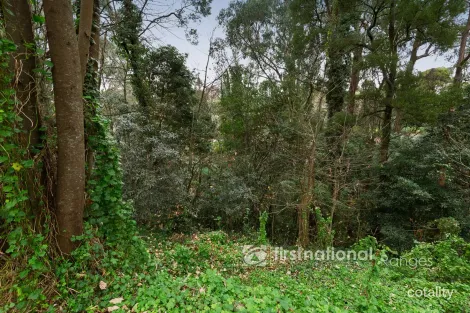 Property photo of 21-25 McAllister Road Monbulk VIC 3793