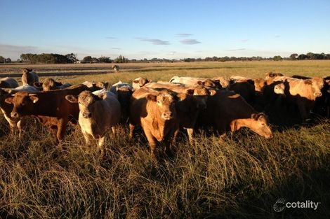 1015 Toolamba Rd, Toolamba, VIC 3614