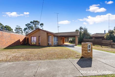 Property photo of 12 Wirilda Crescent Traralgon VIC 3844