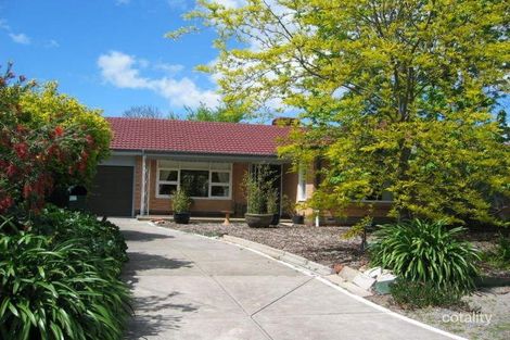 11 Orchard Gr, Newton, SA 5074