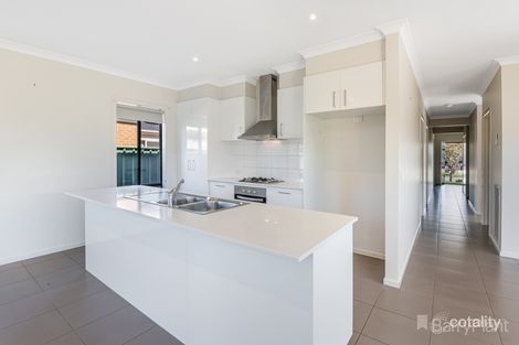 Property photo of 4 Triplett Avenue Ascot VIC 3551