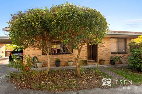 3/323 View St, Bendigo, VIC 3550