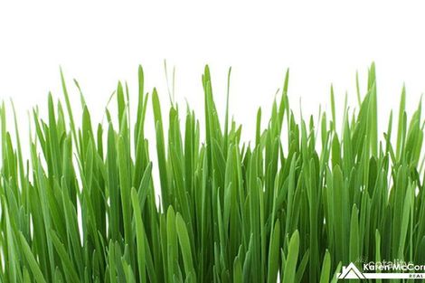 Lot 113/44 Drouin Rd, Longwarry, VIC 3816