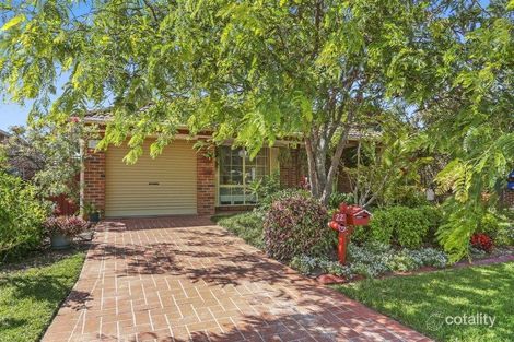 Property photo of 22 Lorraine Avenue Berkeley Vale NSW 2261