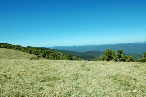 935 Whisky Creek Rd, Bielsdown Hills, NSW 2453