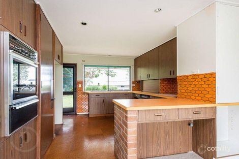 Property photo of 487 Springwood Road Daisy Hill QLD 4127