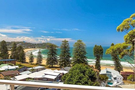 2/8 Ascot Ave, Avoca Beach, NSW 2251