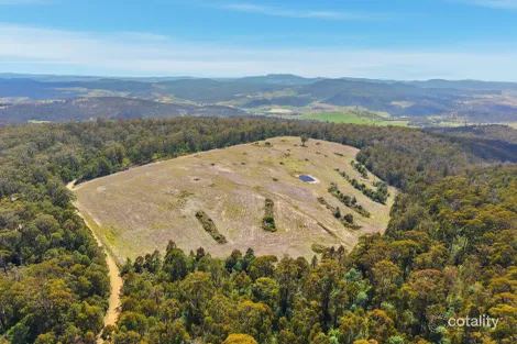 319 Yearsley Rd, Broadmarsh, TAS 7030