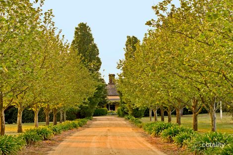 157 Range Rd, Baw Baw, NSW 2580