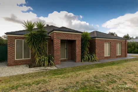 8 Squirrel Glider Dr, Thurgoona, NSW 2640