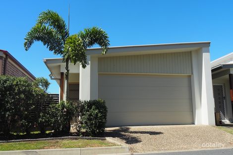 Property photo of 37 Collingrove Circuit Pimpama QLD 4209
