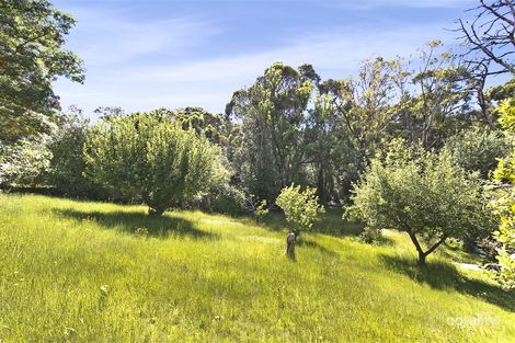 Property photo of 19 First Avenue Bridgewater SA 5155