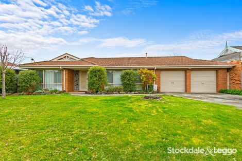 Property photo of 15 Bunyip Court Morwell VIC 3840